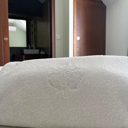 Casa Do Vidoeiro Διαμέρισμα Seia