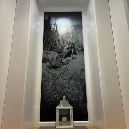 Casa Do Vidoeiro * Seia