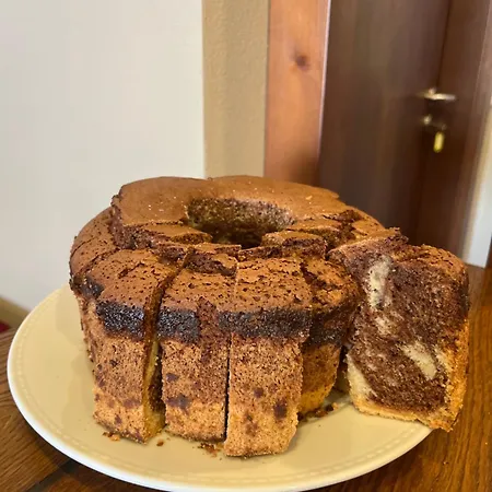 Casa Do Vidoeiro Seia