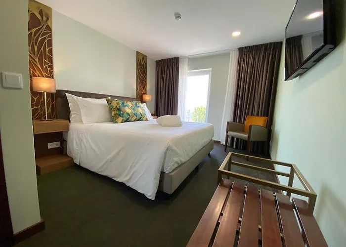 Casa Do Vidoeiro Seia