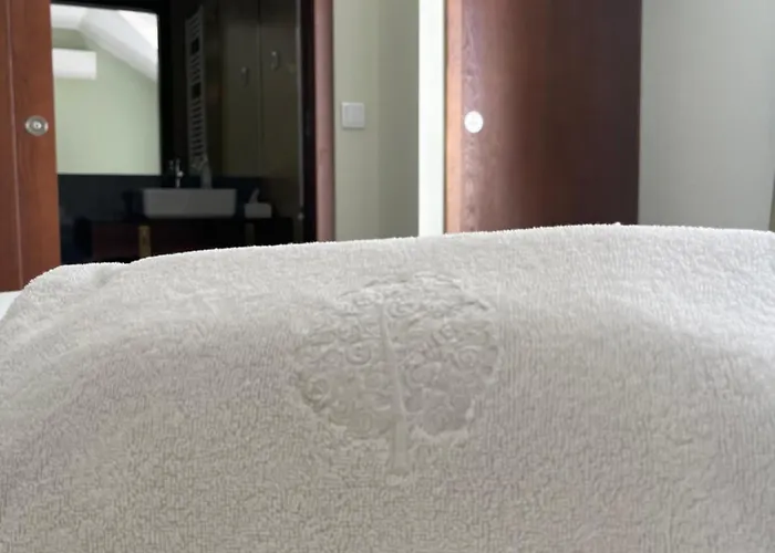 Casa Do Vidoeiro Appartement Seia