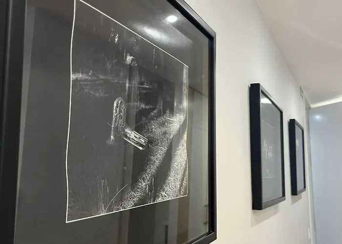 Casa Do Vidoeiro Apartamento Seia