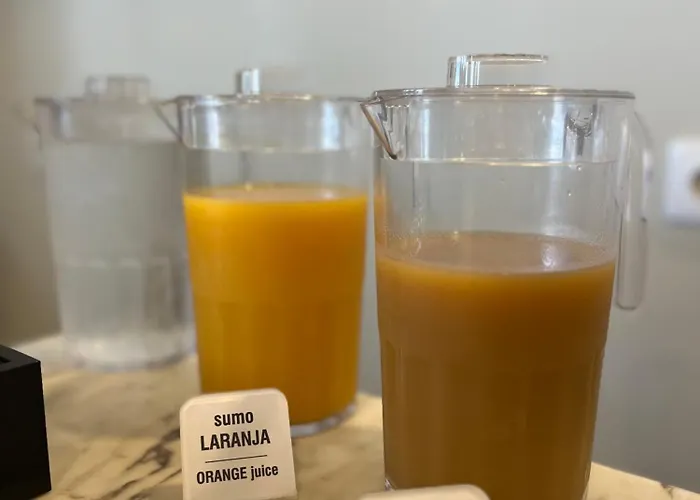 Casa Do Vidoeiro * Seia